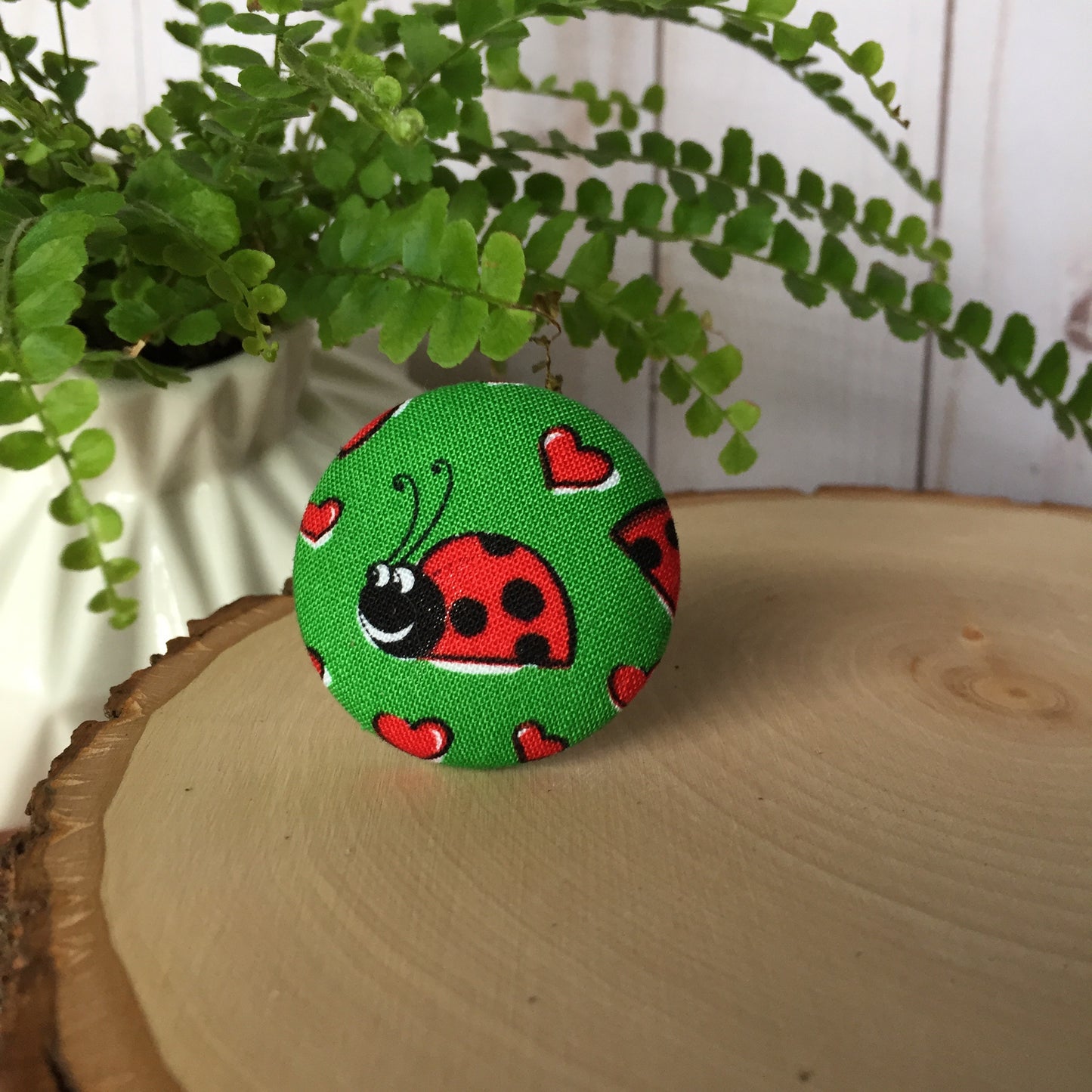 Valentine’s Ladybug